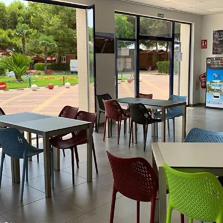 Camping L'alqueria 3* Gandia