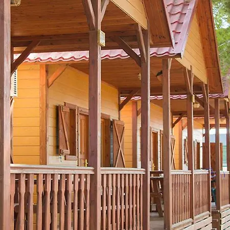 Campsite Camping L'alqueria 3*